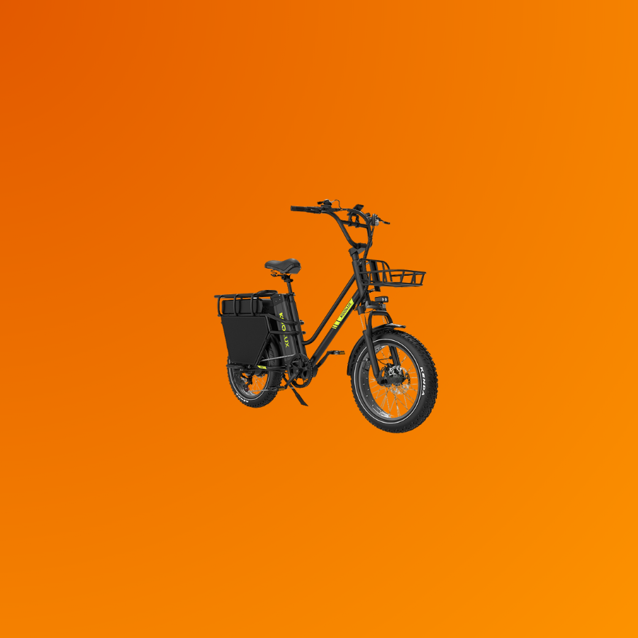 VéloMalin X8 electric cargo bike — front three-quarter view